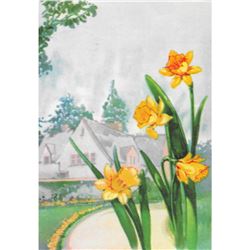 Daffodil 1920's Color Lithograph Print