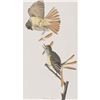 Image 1 : c1946 Audubon Print, #129 Crested Flycatcher