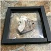 Image 3 : Native American Tribal Leader Carved Quartz Cluster Display Specimen