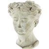 Image 2 : Greek Roman Style Stone Head Planter