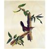 Image 1 : c1946 Audubon Print, #18 Bewick's Wren
