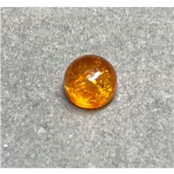 .75ct Golden Baltic Amber Round Cabochon