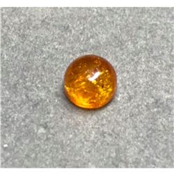 .75ct Golden Baltic Amber Round Cabochon