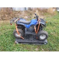 110 CC CHINESE QUAD