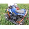 Image 2 : 110 CC CHINESE QUAD