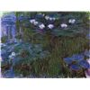 Image 1 : Claude Monet - Water Lillies # 3