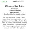 Image 1 : 135 - Angus Bred Heifers