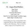 Image 1 : 52 - Angus Bred Heifers