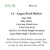 Image 1 : 12 - Angus Bred Heifers