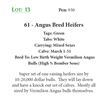 Image 1 : 61 - Angus Bred Heifers