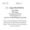 Image 1 : 11 - Angus Bred Heifers
