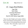 Image 1 : 40 - Angus Bred Heifers