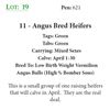 Image 1 : 11 - Angus Bred Heifers