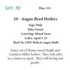 Image 1 : 10 - Angus Bred Heifers