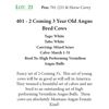 Image 1 : 390 - 2 Coming 3 Year Old Angus Bred Cows