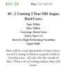 Image 1 : 41 - 2 Coming 3 Year Old Angus Bred Cows