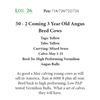 Image 1 : 48 - 2 Coming 3 Year Old Angus Bred Cows