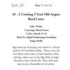 Image 1 : 43 - 2 Coming 3 Year Old Angus Bred Cows