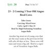 Image 1 : 21 - 2 Coming 3 Year Old Angus Bred Cows