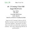 Image 1 : 45 - 2 Coming 3 Year Old Angus Bred Cows