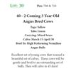 Image 1 : 39 - 2 Coming 3 Year Old Angus Bred Cows