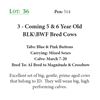Image 1 : 3 Head - Coming 5 & 6 Year Olds - AI Bred