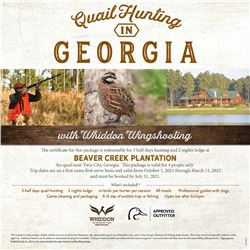 Georgia Quail Hunt For 4