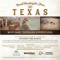 Texas Quail Hunt for 4