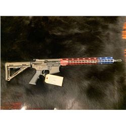 Wise Arms AR Rifle "We the People Edition"