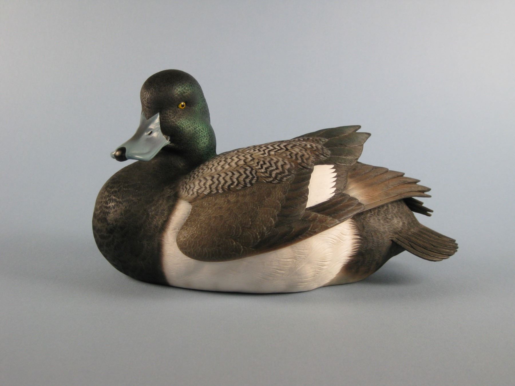 Jett Greater Scaup Decoy