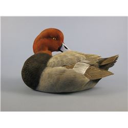 Jett Brunet Redhead Decoy