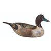Image 1 : Wooden Pintail Decoy