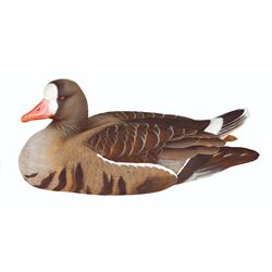 White-Fronted Goose Decoy of the Year