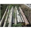 Image 2 : 9) 8' Treated Corral Posts One Money for all