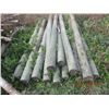 Image 2 : 12) 8' Treated & Sharpened Corral Posts One Money for all
