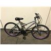 Image 2 : 2 BIKES - RED NEXT SINGLE SPEED CHOPPER BIKE, GREY EVOLUTION 18-SPEED FULL MOUNTAIN BIKE
