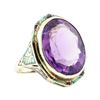 Image 1 : 17.32 ctw Amethyst and Multi-Colored Enamel Ring - 14KT Yellow Gold