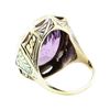 Image 3 : 17.32 ctw Amethyst and Multi-Colored Enamel Ring - 14KT Yellow Gold