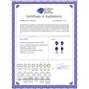 Image 2 : Genuine 10.50 ctw Amethyst & Pearl Earrings 14KT White Gold - REF-40Y9F