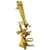 Image 1 : Impressively large Brass Binocular Microscope