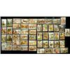 Image 1 : 50 Series Liebig Collectors Sets, c. 1900