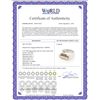 Image 2 : 0.72 CTW Diamond Ring 14K 2Tone Gold - REF-93X3R