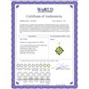 Image 2 : Genuine 2.43 ctw Peridot & Blue Topaz Necklace 14KT Yellow Gold - REF-29N7R