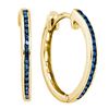 Image 1 : 1/10 CTW Womens Round Blue Color Enhanced Diamond Hoop Earrings 10kt Yellow Gold - REF-12Y2N