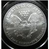 Image 2 : 2005 SILVER EAGLE COIN