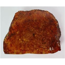 Large Chunk of Ancient Amber w/ Bee & Moss 1958g