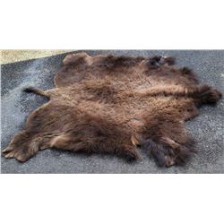 Large Taxidermy Montana Buffalo Hide Robe Rug
