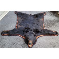 Very Large Montana Taxidermy Black Bear Rug
