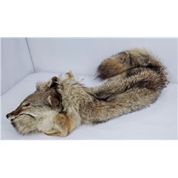 Rendezvous Native American Beaded Coyote Headdress