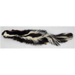 Pair of Montana Taxidermy Tanned Wild Skunks